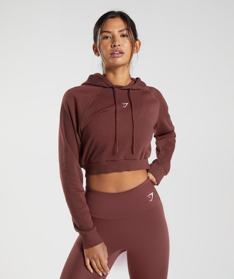 Women\'s Gymshark Training Cropped Hoodie Dark Brown | NZ 8KCGLY